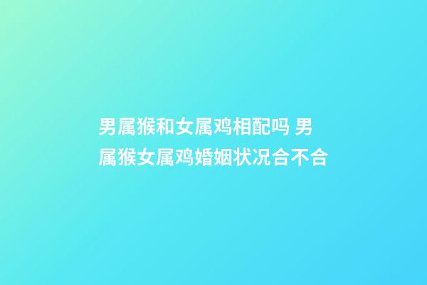 男属猴和女属鸡相配吗 男属猴女属鸡婚姻状况合不合